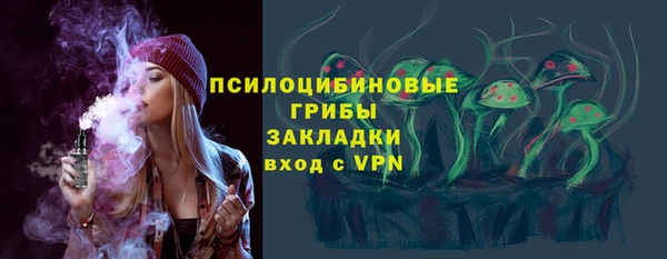прущие грибы Балахна