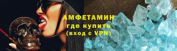 прущие грибы Балахна