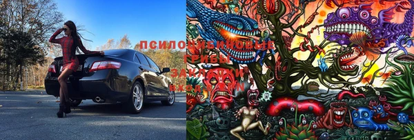 прущие грибы Балахна