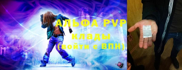 прущие грибы Балахна