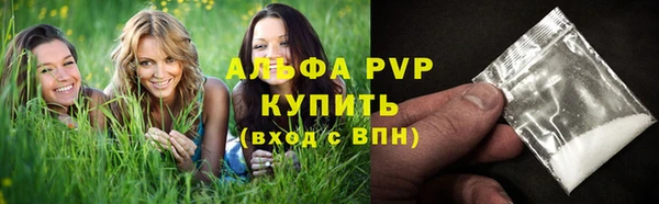 прущие грибы Балахна