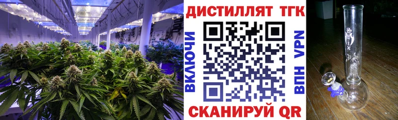 что такое   Ногинск  ТГК концентрат 