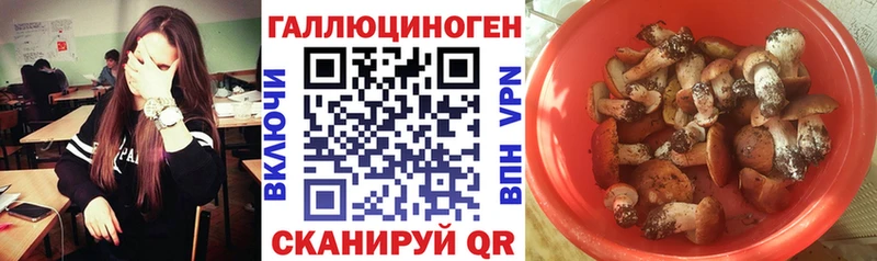Псилоцибиновые грибы Magic Shrooms  дарнет шоп  Ногинск 
