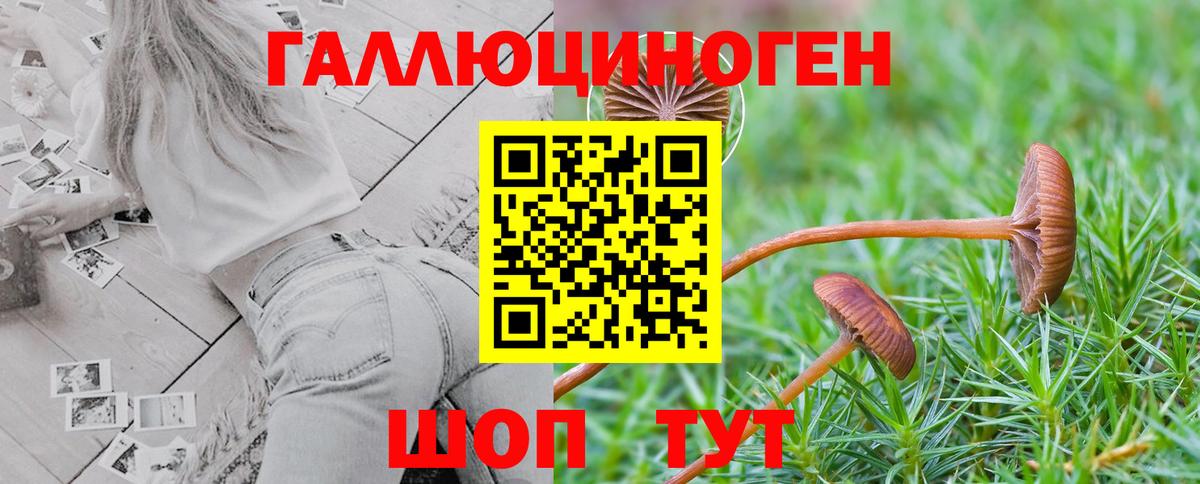Галлюциногенные грибы мухоморы  Вход с VPN  Ногинск  хочу   Галлюциногенные грибы Magic Shrooms 